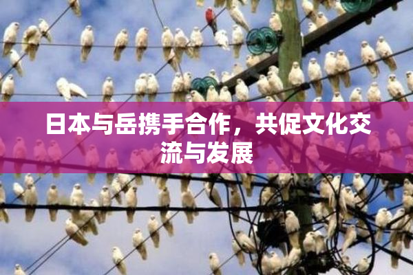 日本与岳携手合作，共促文化交流与发展