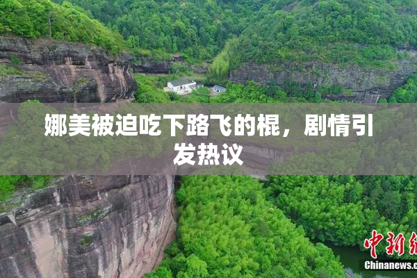 娜美被迫吃下路飞的棍，剧情引发热议