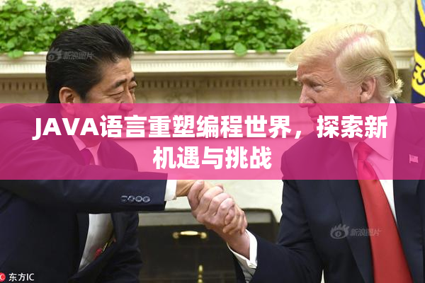 JAVA语言重塑编程世界，探索新机遇与挑战