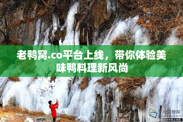 老鸭窝.co平台上线，带你体验美味鸭料理新风尚