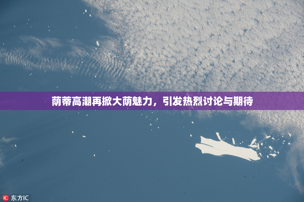 荫蒂高潮再掀大荫魅力，引发热烈讨论与期待