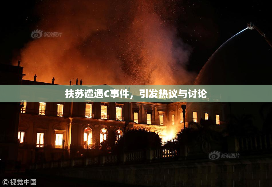 扶苏遭遇C事件，引发热议与讨论