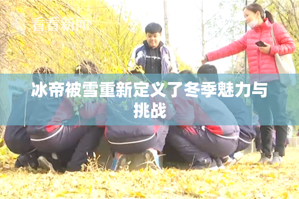 冰帝被雪重新定义了冬季魅力与挑战