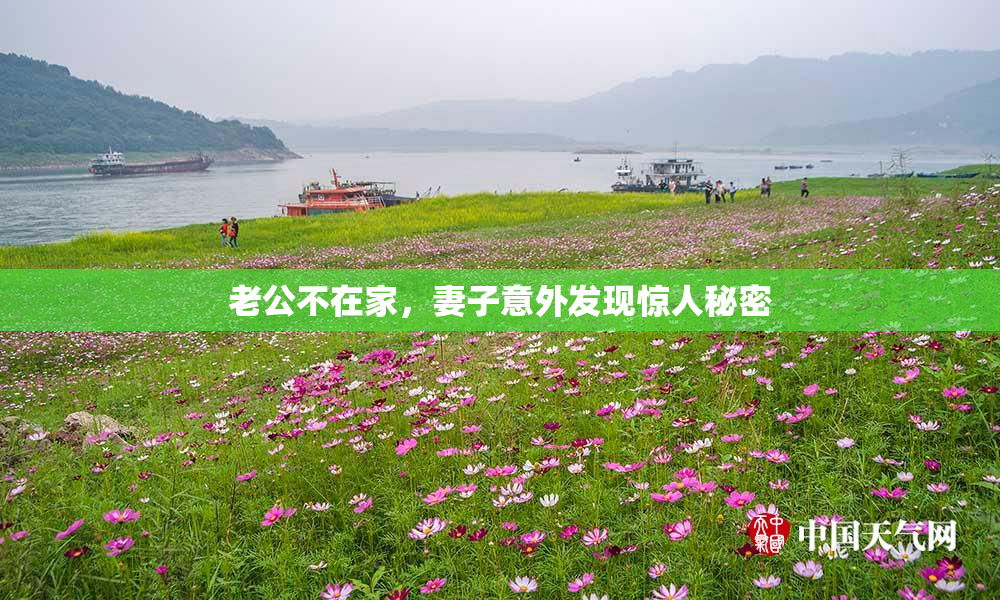 老公不在家，妻子意外发现惊人秘密