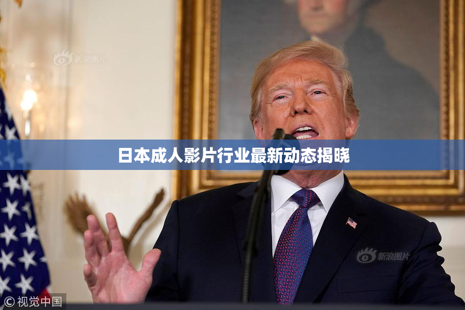 日本成人影片行业最新动态揭晓