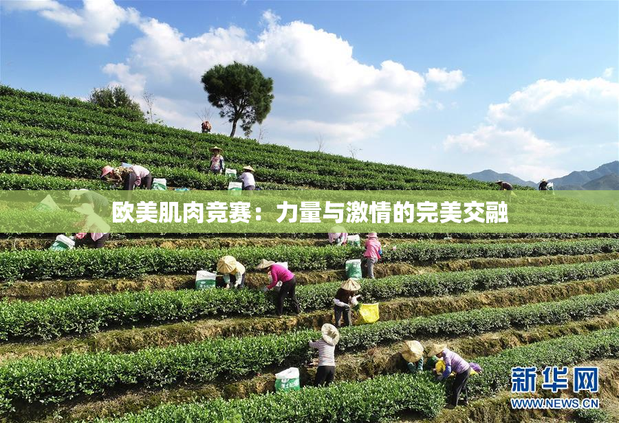欧美肌肉竞赛：力量与激情的完美交融