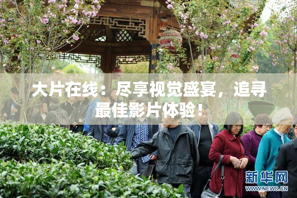 大片在线：尽享视觉盛宴，追寻最佳影片体验！