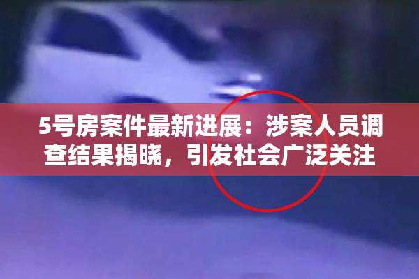 5号房案件最新进展：涉案人员调查结果揭晓，引发社会广泛关注