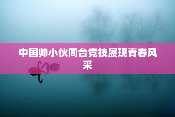 中国帅小伙同台竞技展现青春风采