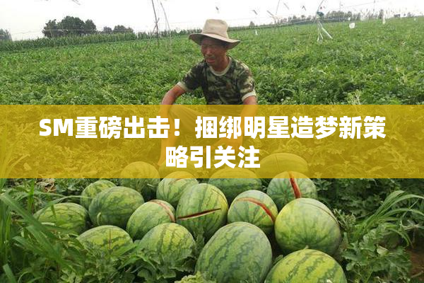 SM重磅出击！捆绑明星造梦新策略引关注