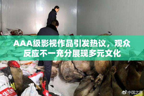 AAA级影视作品引发热议，观众反应不一充分展现多元文化