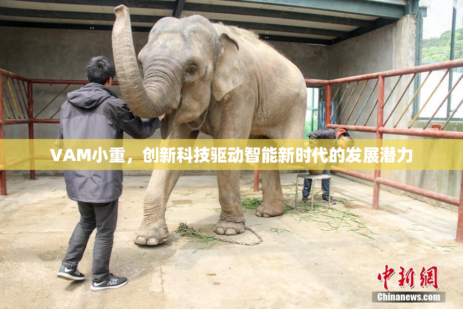 VAM小重，创新科技驱动智能新时代的发展潜力