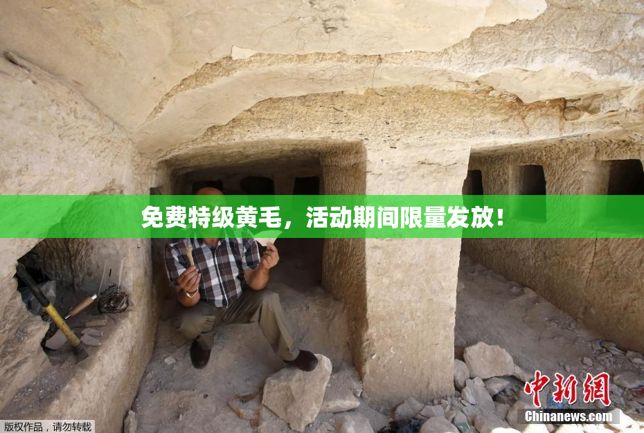 免费特级黄毛，活动期间限量发放！