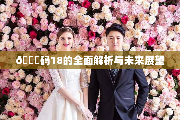 🈚码18的全面解析与未来展望