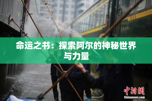 命运之书：探索阿尔的神秘世界与力量