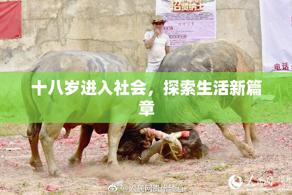 十八岁进入社会，探索生活新篇章