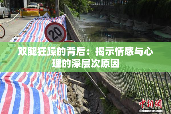 双腿狂躁的背后：揭示情感与心理的深层次原因