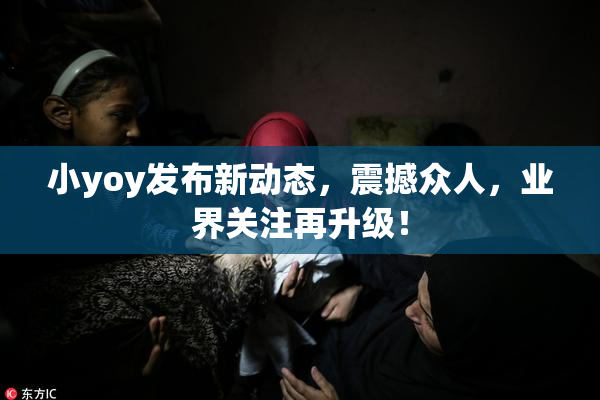 小yoy发布新动态，震撼众人，业界关注再升级！