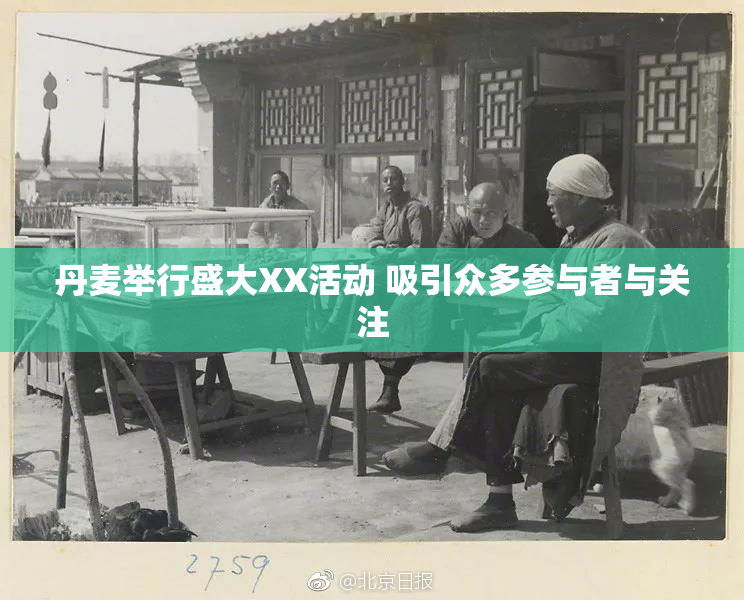 丹麦举行盛大XX活动 吸引众多参与者与关注