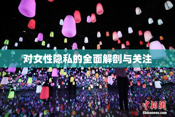 对女性隐私的全面解剖与关注