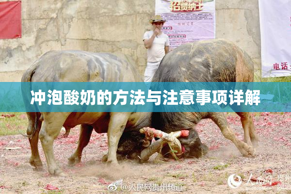 冲泡酸奶的方法与注意事项详解