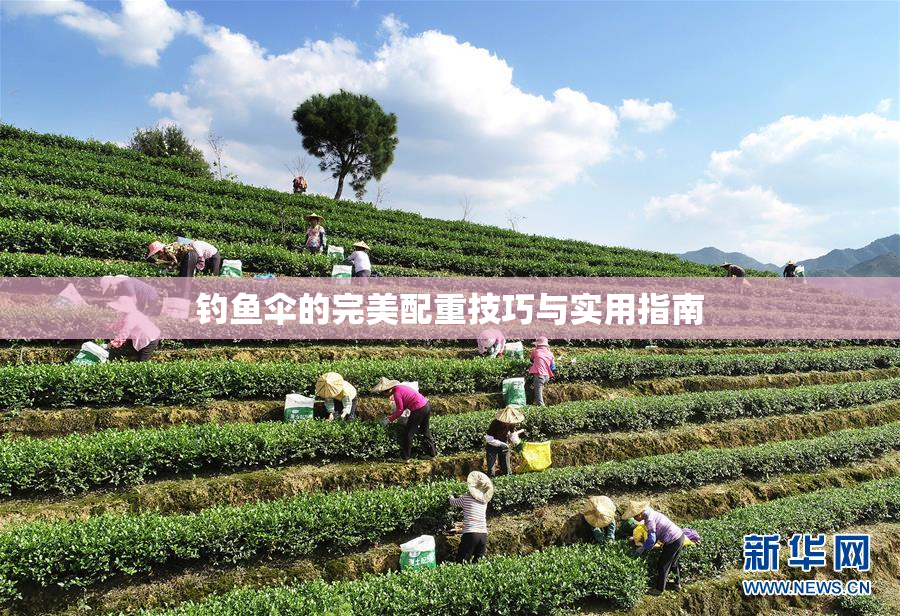 钓鱼伞的完美配重技巧与实用指南