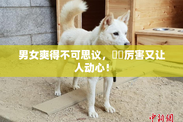 男女爽得不可思议，❌‌厉害又让人动心！