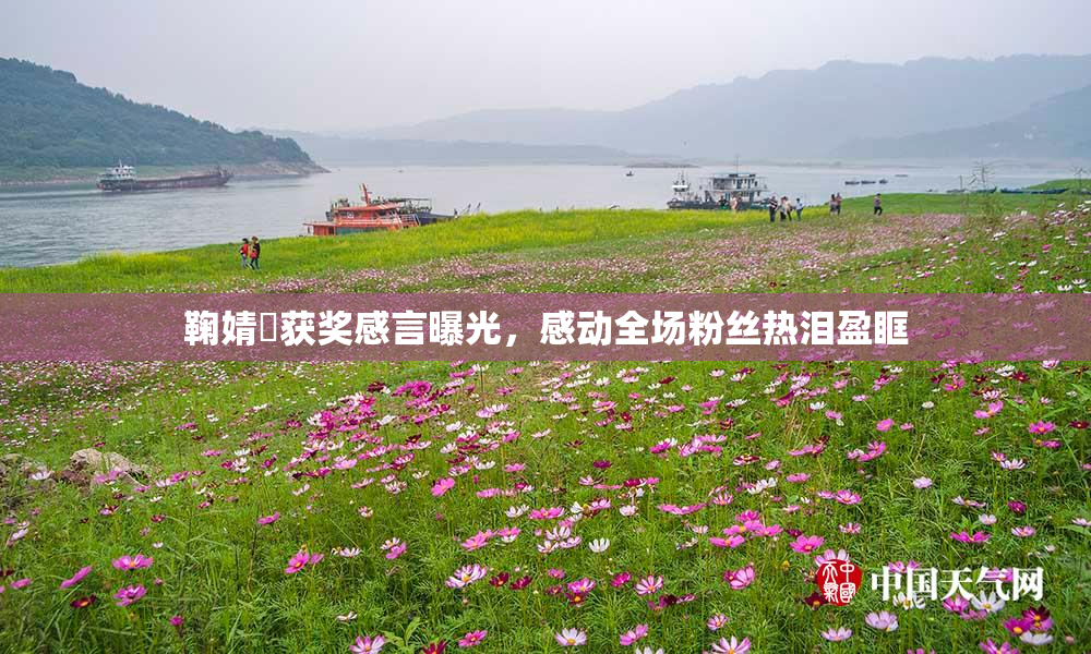 鞠婧祎获奖感言曝光，感动全场粉丝热泪盈眶