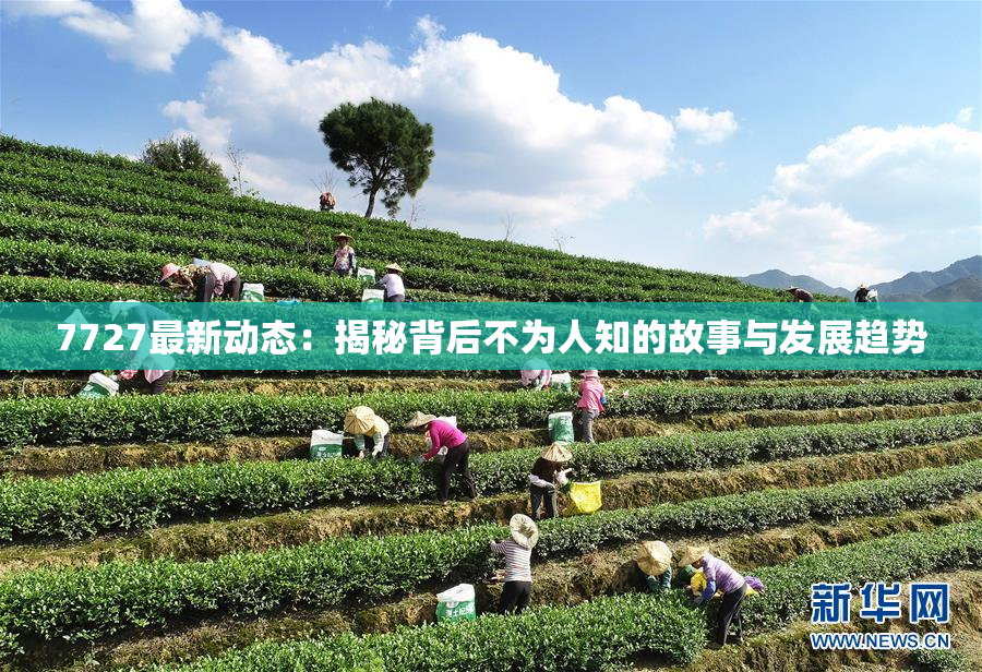7727最新动态：揭秘背后不为人知的故事与发展趋势