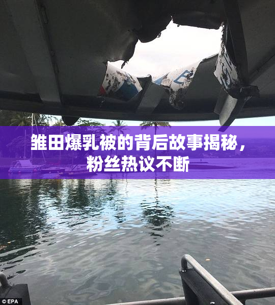 雏田爆乳被的背后故事揭秘，粉丝热议不断