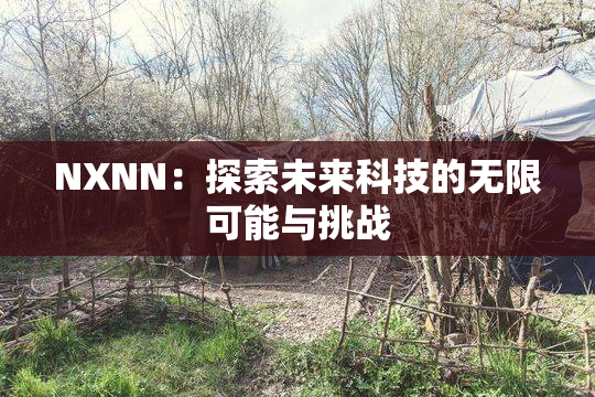 NXNN：探索未来科技的无限可能与挑战