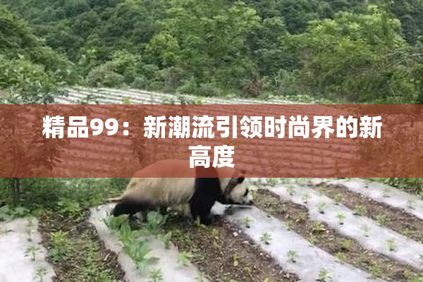 精品99：新潮流引领时尚界的新高度