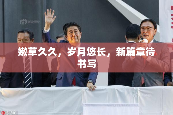 嫩草久久，岁月悠长，新篇章待书写