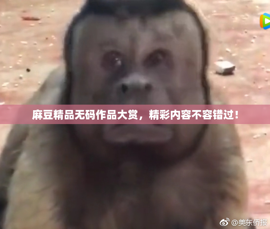 麻豆精品无码作品大赏，精彩内容不容错过！