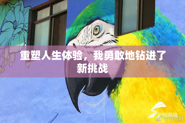 重塑人生体验，我勇敢地钻进了新挑战