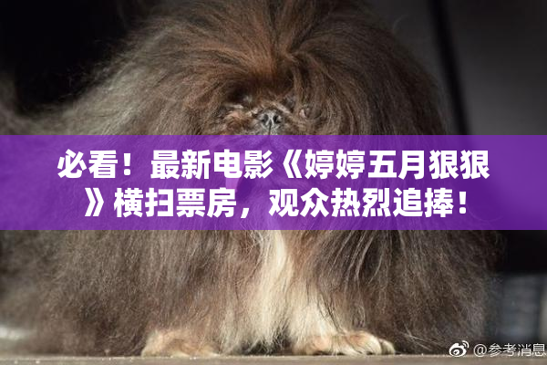 必看！最新电影《婷婷五月狠狠》横扫票房，观众热烈追捧！