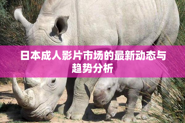 日本成人影片市场的最新动态与趋势分析