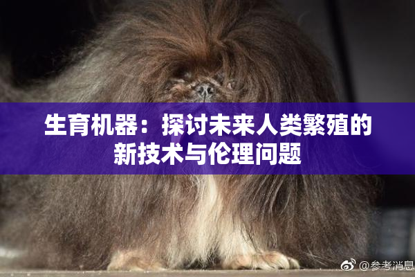 生育机器：探讨未来人类繁殖的新技术与伦理问题