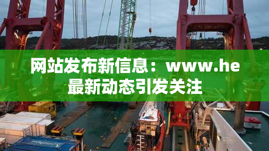 网站发布新信息：www.he最新动态引发关注