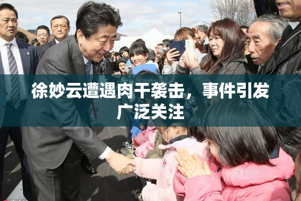 徐妙云遭遇肉干袭击，事件引发广泛关注