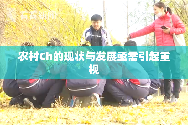 农村Ch的现状与发展亟需引起重视
