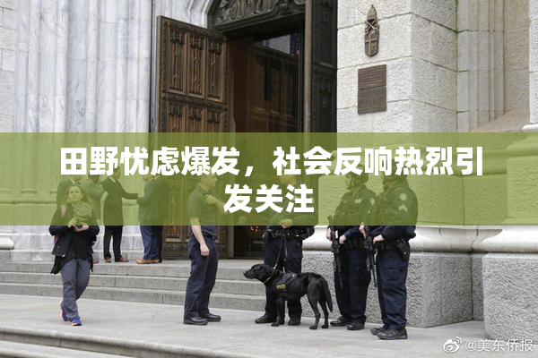 田野忧虑爆发，社会反响热烈引发关注