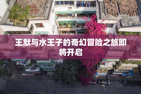 王默与水王子的奇幻冒险之旅即将开启