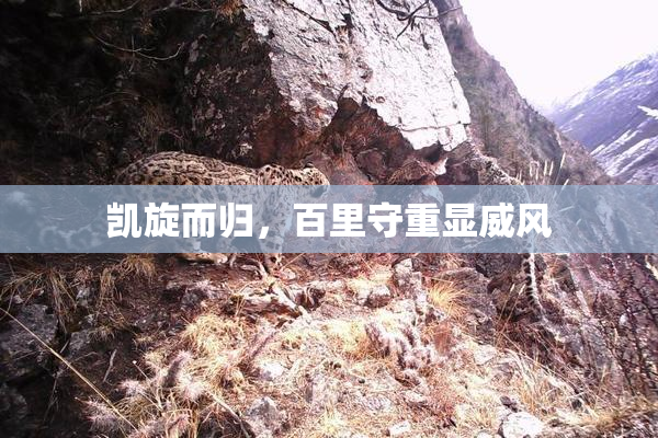 凯旋而归，百里守重显威风