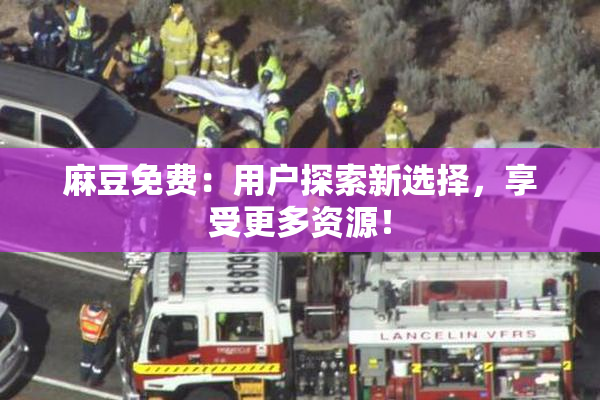 麻豆免费：用户探索新选择，享受更多资源！