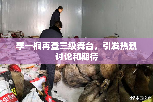 李一桐再登三级舞台，引发热烈讨论和期待