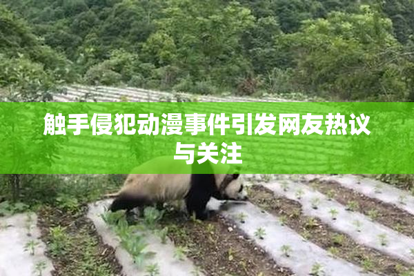 触手侵犯动漫事件引发网友热议与关注
