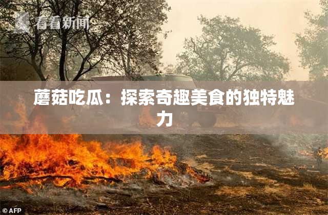 蘑菇吃瓜：探索奇趣美食的独特魅力