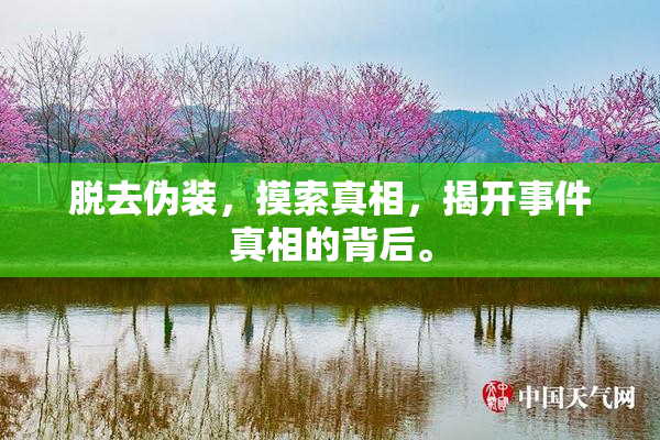 脱去伪装，摸索真相，揭开事件真相的背后。
