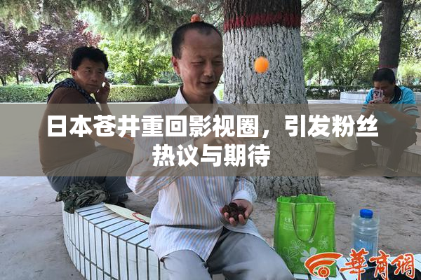 日本苍井重回影视圈，引发粉丝热议与期待
